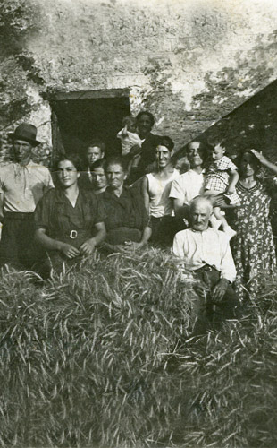 famiglia boriassi