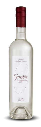grappa di vermentino